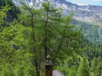 Herz Jesu Kapelle umgeben von Lärchen auf der Hoaz Alm im Ködnitztal
